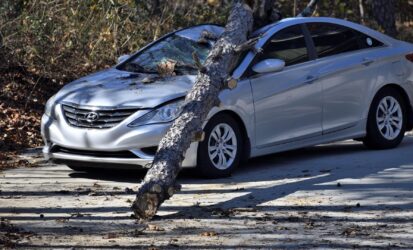 Kaskoschaden - ein umgestürzter Baum trifft einen PKW