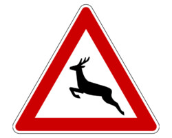 Wildunfall - Vorsicht bei Wildwechsel - eine der häufigsten Kaskoschäden Wildunfall - Vorsicht bei Wildwechsel - eine der häufigsten Kaskoschäden